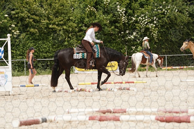sA9K08481.JPG